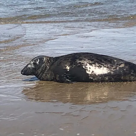 A Apartament Le Portel